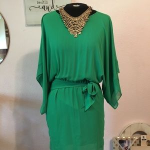 BCBG green dress with 1/4 sleeve